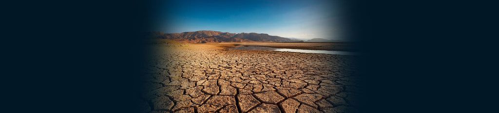 What Happens When You're Low On Electrolytes: 4 Signs